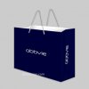 Other Printing » Abbvie_Pape_Bag
